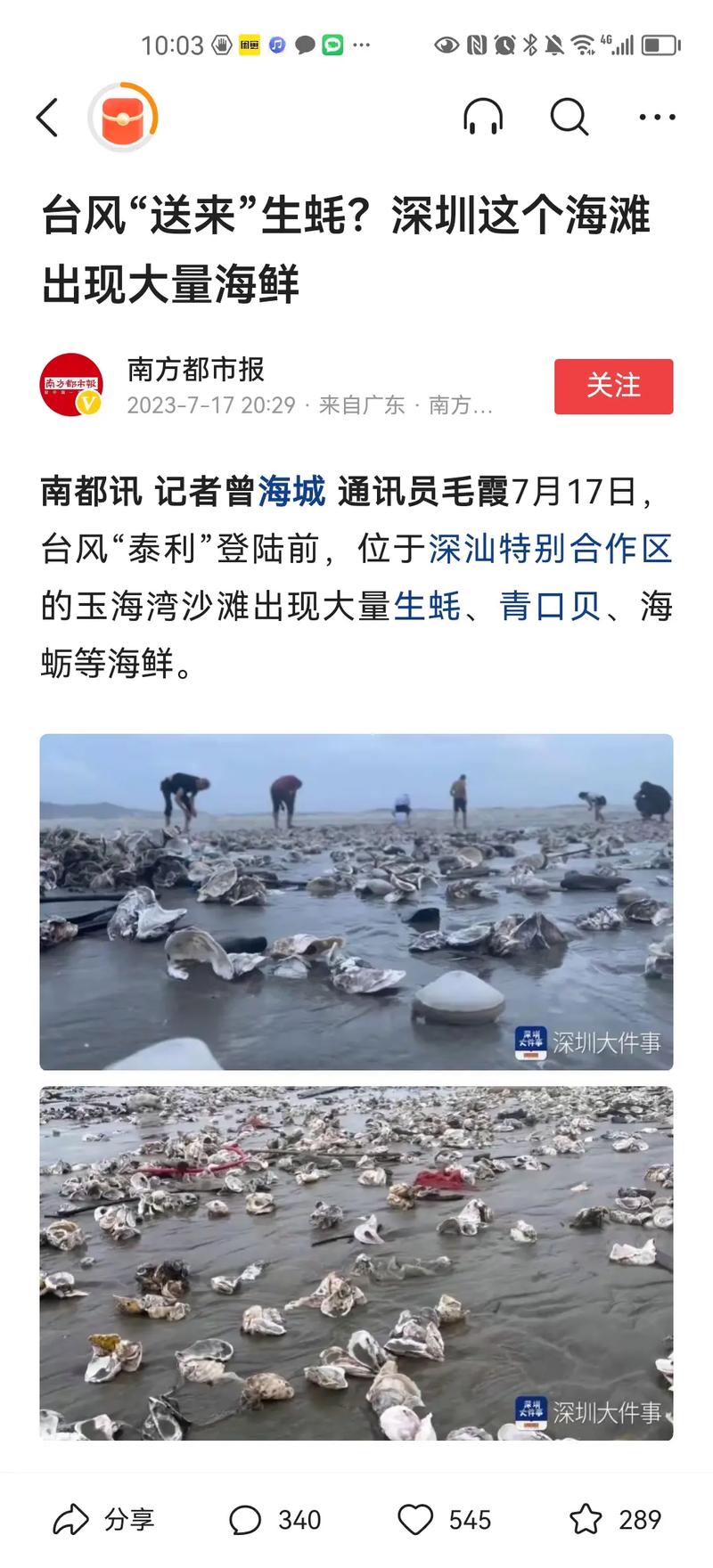 在福建泉州哪里可以看到海台风过后海滩上有没有海鲜汕尾海滩突现大量生蚝哪里来的 保湿