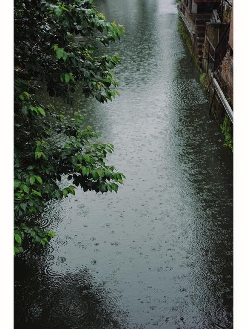 为什么长江下游九江鄱阳湖段容易发洪灾10余省份有大到暴雨的地方吗最近江南的雨、华南的热浪都与它有关！天气预报中的副热带高压到底是个啥 专柜