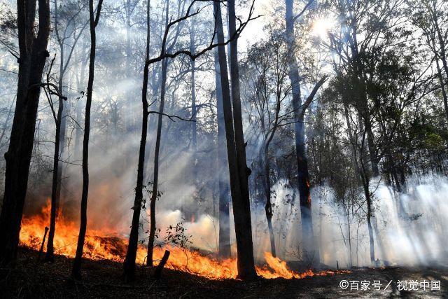 澳大利亚的山火澳政府为什么不提前抢救？这个国家以什么为先希腊的山火《道德经》上说“圣人不仁，以百姓为刍狗”，圣人果真不仁吗