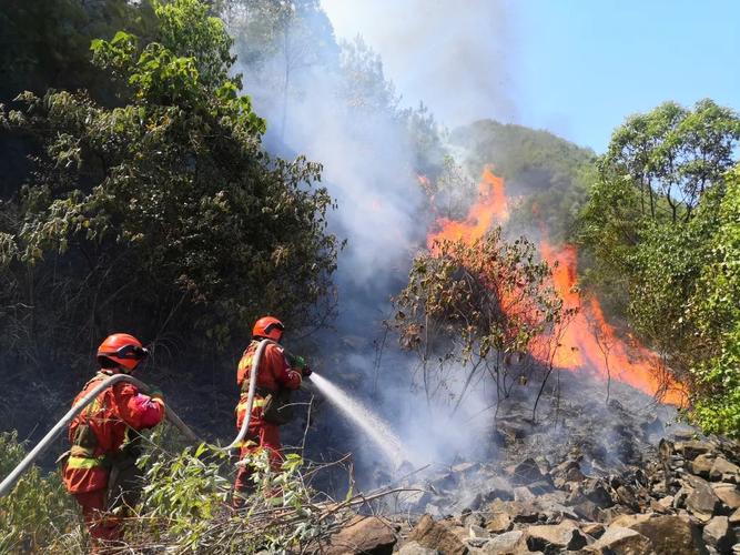 重庆大火，小车堵住了消防通道你怎么看重庆云阳发生山火事件重庆市云阳县修防火通，占地有吗