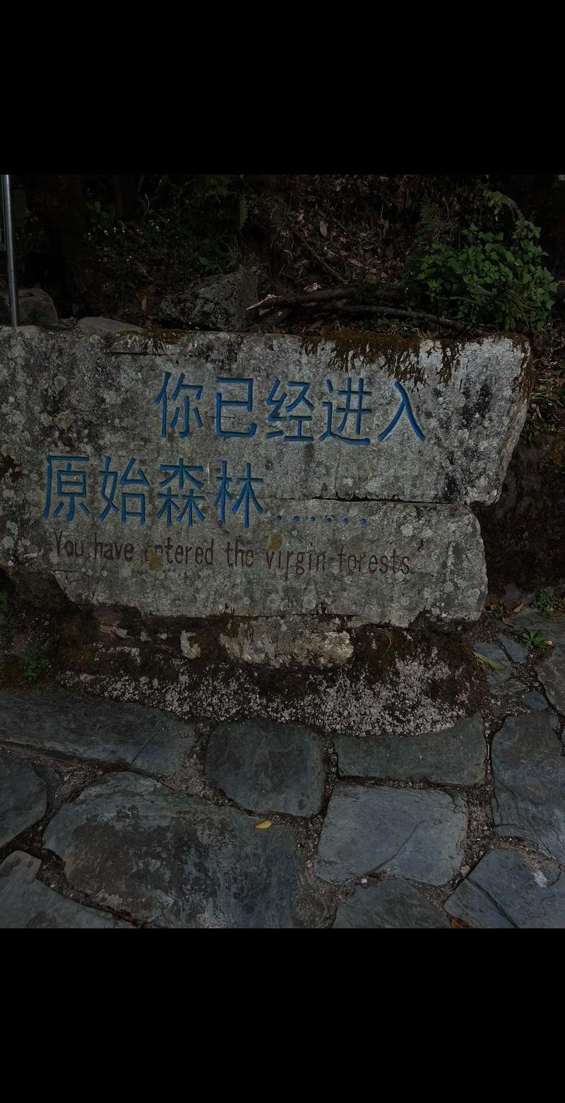 云南旅游那些地方必去，有推荐吗哀牢山怎么读哀牢山本地人发声 资生堂