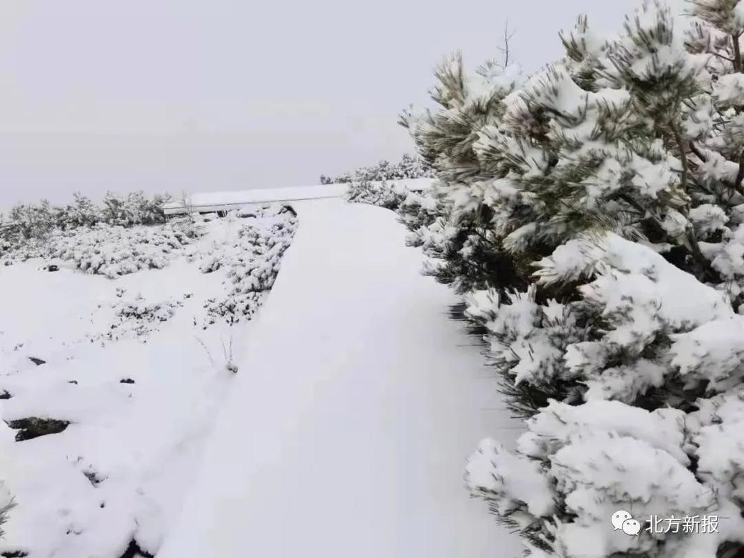 秋天会下雪吗为什么秋天也会下雪呢为什么喜欢过年时下雪